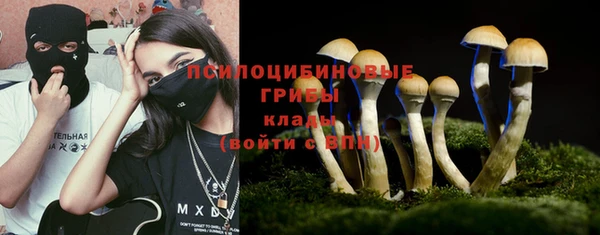 индика Бородино