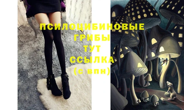 кокаин Богородицк