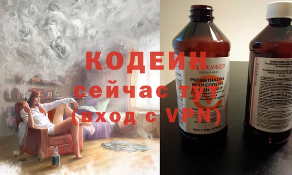 индика Бородино