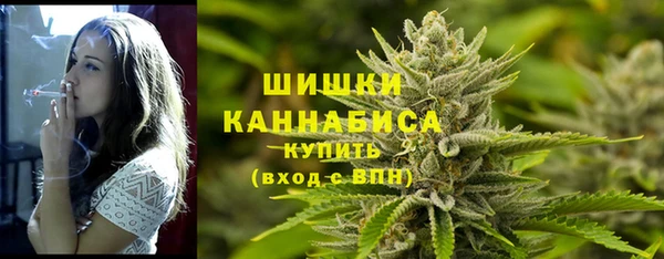 дмт Богородск